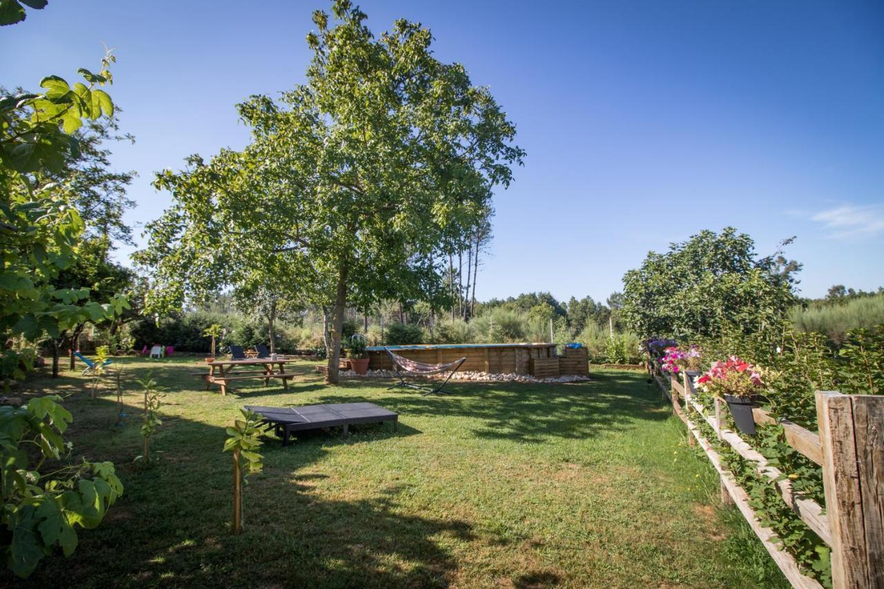 Апартаменти Quinta Vale Salgueiro Сейя Екстер'єр фото
