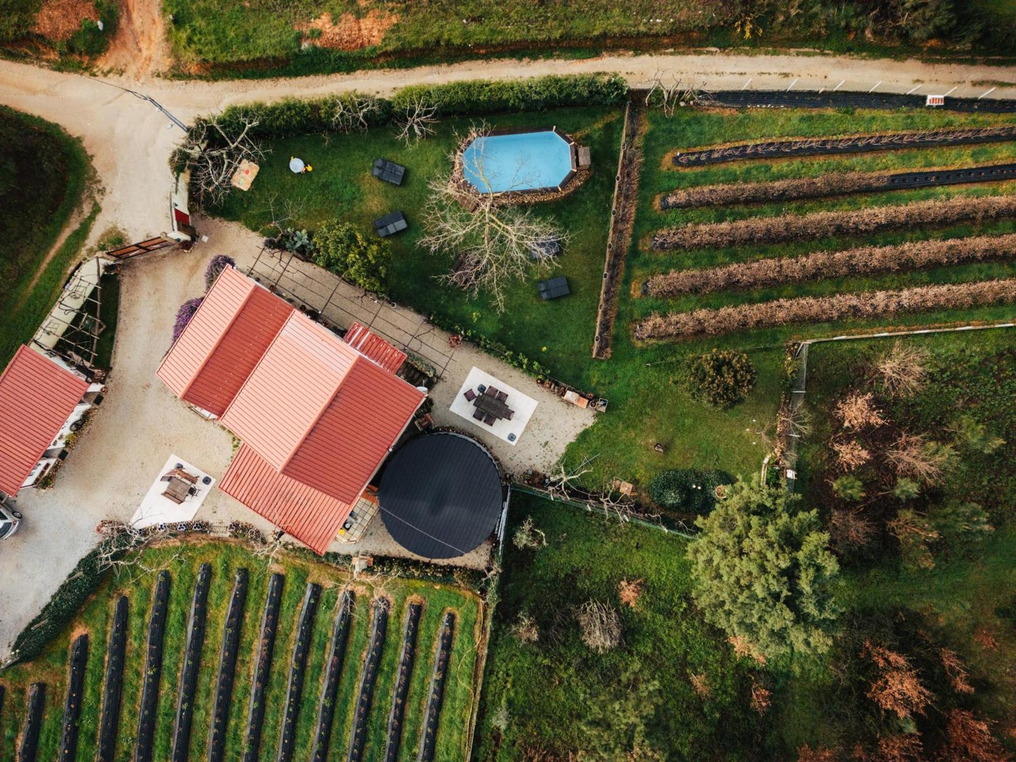 Апартаменти Quinta Vale Salgueiro Сейя Екстер'єр фото