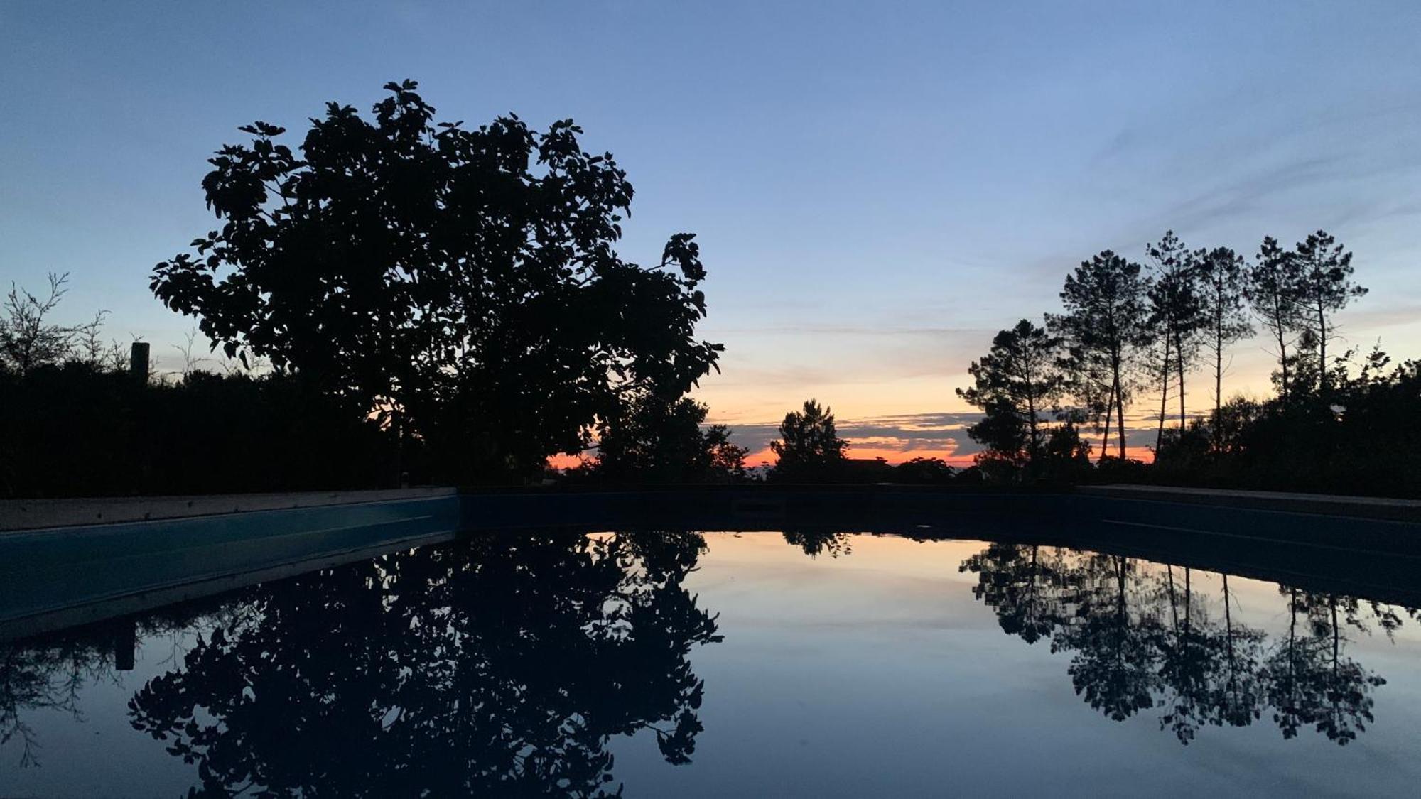 Апартаменти Quinta Vale Salgueiro Сейя Екстер'єр фото